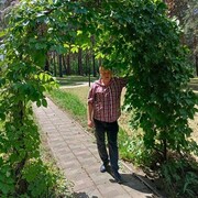 ���������� �����, ���� ������� �����, 36 ���, ������������ ��� ����� � ���������, c�������� ���������