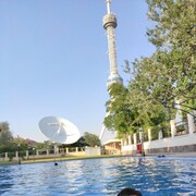 ������� ����� �������� ������ ��������