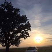 ���������� �����, ���� ������� ����, 36 ���, ������������ ��� ������, ����� � ���������, c�������� ���������