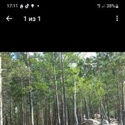  ,  Zhenis, 38