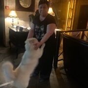  -,   , 49 ,   ,   