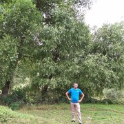 ���������� ����, ���� ������� Elman, 42 ����, ������������ ��� ������, ����� � ���������, c�������� ���������