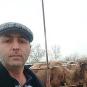 ���������� ������, ���� ������� �����, 41 ���, ������������ ��� ������, ����� � ���������, ���������