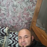  ,       , 41 ,   ,   