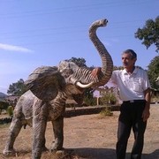  ,   HIKMET, 63 ,   ,   , c 
