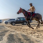 ���������� �������, ���� ������� ������, 46 ���, ������������ ��� ������