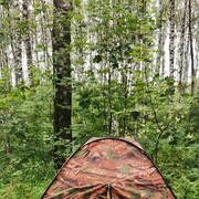 ���������� ������, ���� ������� ������, 48 ���, ������������ ��� ������, ����� � ���������, c�������� ���������