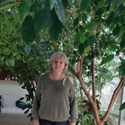 ���������� ������, ���� ������� ��������, 55 ���, ������������ ��� ������, ����� � ���������, c�������� ���������