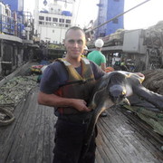 ���������� �����������, ���� ������� ����, 42 ����, ������������ ��� ������