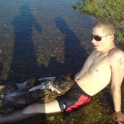 ���������� �����, ���� ������� Maikal, 40 ���, ������������ ��� ������, ����� � ���������, c�������� ���������, ���������