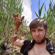 ���������� ��������, ���� ������� ������, 29 ���, ������������ ��� ������, ����� � ���������