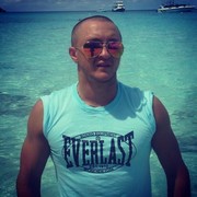  ,   Bandit, 41 ,   