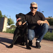  Venice,   Georgeharris, 60 ,     , c 