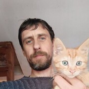  ,  , 41