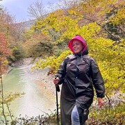 ���������� ������, ���� ������� �����, 46 ���, ������������ ��� ����� � ���������, c�������� ���������