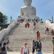 ���������� ���������, ���� ������� ������, 37 ���, ������������ ��� ������, ����� � ���������, c�������� ���������, ���������