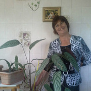 ���������� ������, ���� ������� �����, 63 ����, ������������ ��� ������, ����� � ���������, c�������� ���������