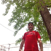  ,   , 41 ,   ,   , c 