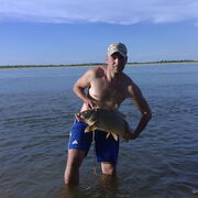 ���������� ���������, ���� ������� ����, 43 ����, ������������ ��� ������, ����� � ���������