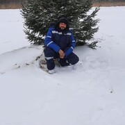 ���������� ���������, ���� ������� �������, 42 ����, ������������ ��� ������, ����� � ���������, c�������� ���������, ���������