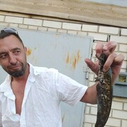 ���������� �����, ���� ������� ������, 44 ����, ������������ 