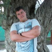 ���������� ������ ��������, ���� ������� ���������, 48 ���, ������������ ��� ������, ����� � ���������