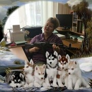 ���������� ������, ���� ������� �����, 49 ���, ������������ ��� ������, ����� � ���������, c�������� ���������