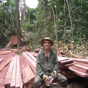 ���������� ������, ���� ������� �������, 32 ����, ������������ ��� ������, ����� � ���������, c�������� ���������