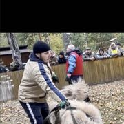 ���������� �����������, ���� ������� �������, 31 ���, ������������ ��� ������, ����� � ���������