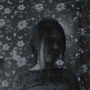 ���������� ������, ��������