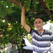  ,   , 24 ,  