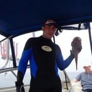 ���������� �����, ���� ������� ���, 36 ���, ������������ ��� ������, ����� � ���������