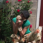 ���������� ����������, ���� ������� �����, 48 ���, ������������ ��� ����� � ���������, c�������� ���������