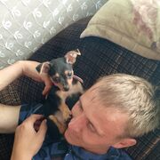 ���������� ���������, ������� ����, 35