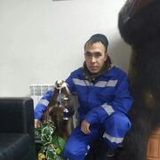 ���������� ����, ���� ������� ������, 37 ���, ������������ ��� c�������� ���������