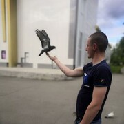  ,   Alex, 31 ,   ,   , c , 