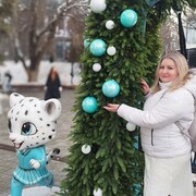 ���������� ������, ���� ������� �����, 43 ����, ������������ ��� ������, ����� � ���������