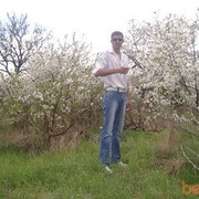  ,   SERJ, 41 ,   