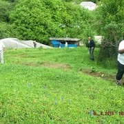  ,   KASPI, 51 ,   