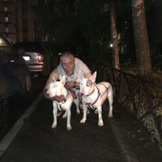 ���������� �����-���������, ���� ������� ��������, 45 ���, ������������ ��� ����� � ���������, c�������� ���������