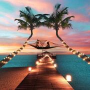 ���������� ��������, ���� ������� ������, 30 ���, ������������ ��� ������, ����� � ���������