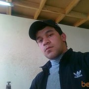 ���������� �������, ���� ������� Tel981035777, 37 ���, ������������ ��� ���������