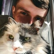 ���������� ������, ���� ����� ���������, 23 ����, ������������ ��� ������, ����� � ���������, ���������