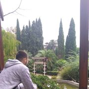  ,   , 33 ,   , 