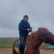  ,   , 28 ,   c 