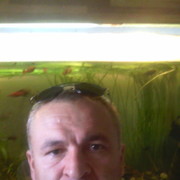 ���������� ���������, ���� ������� ����������, 52 ����, ������������ 