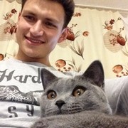 ���������� �������, ���� ������� �������, 38 ���, ������������ ��� ������, ����� � ���������, c�������� ���������