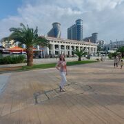 ���������� �����, ���������