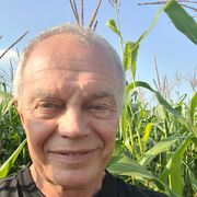 ���������� ������, ���� ������� ���������, 61 ���, ������������ ��� ������