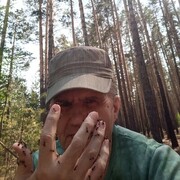  ,   , 65 ,  